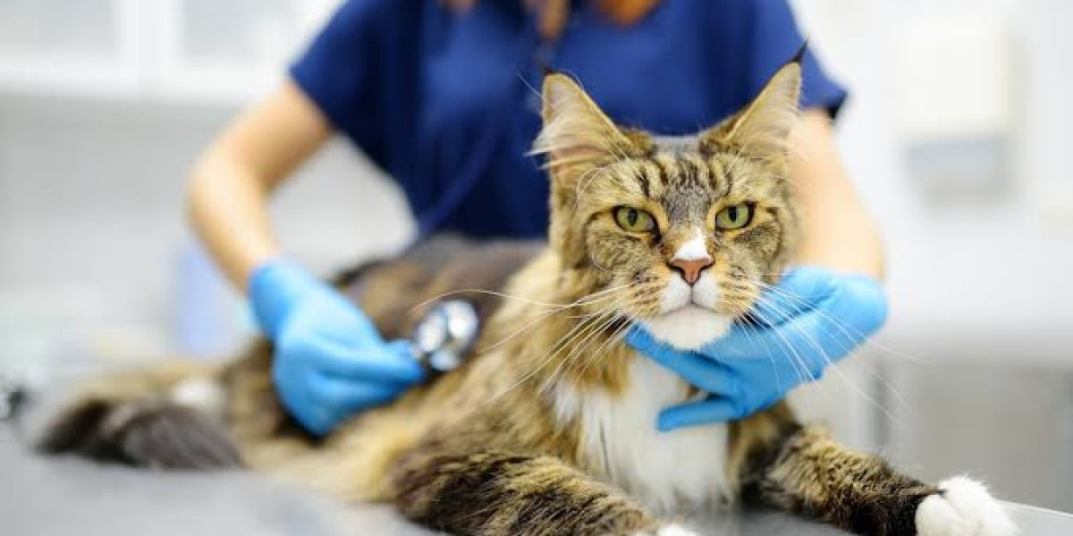 New MarketGenics Report Reveals Strong Growth Potential in the Pet Cancer Treatment Market